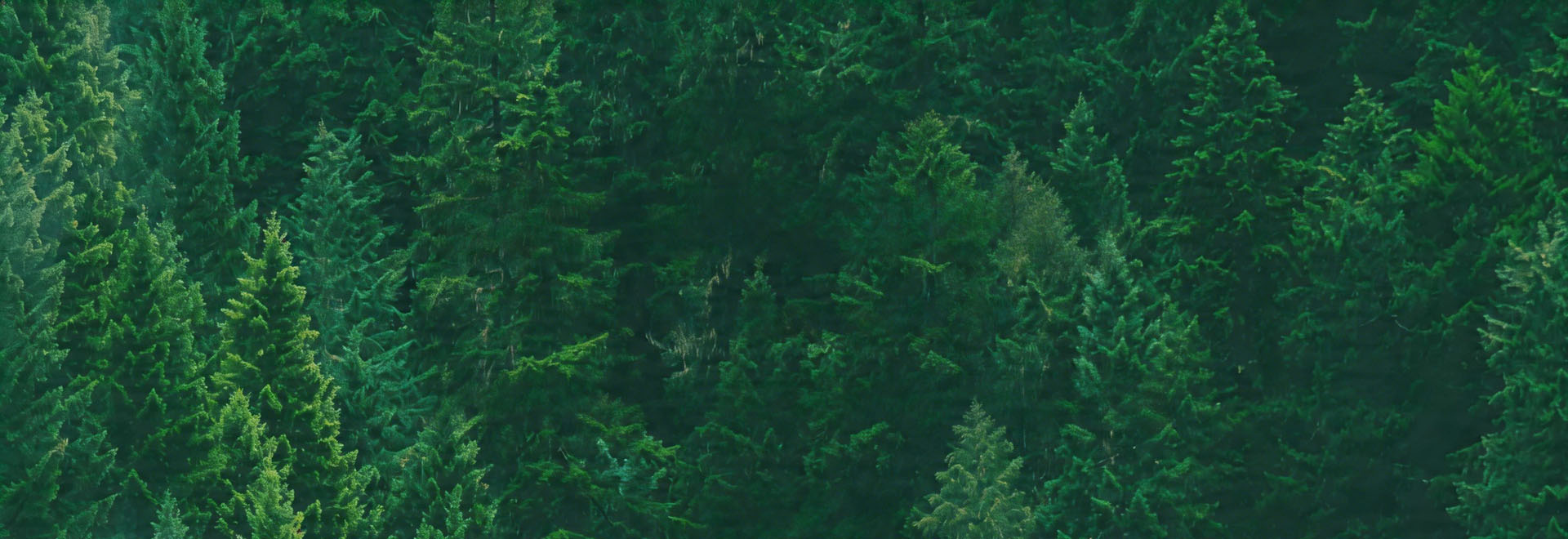 产品服务 Banner