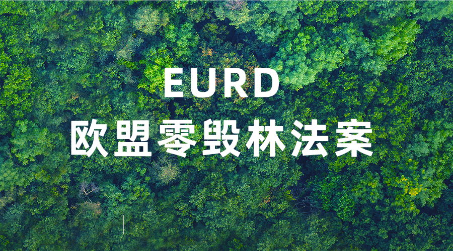 EUDR： 欧盟零毁林法案如何守护森林?