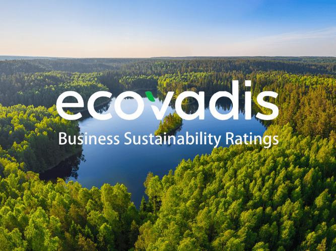EcoVadis 评估