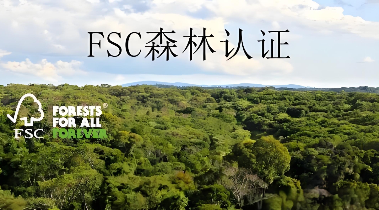 微信截图_20241126112400.png